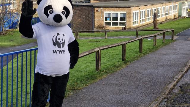 The WWF mascot, Chi Chi, wearing a WWF t-shirt outuide a school weaving