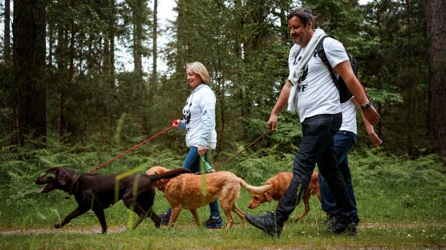 Walkers with WWF t-shirts and 2 dogs
