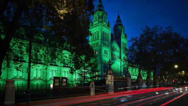 Natural History Museum