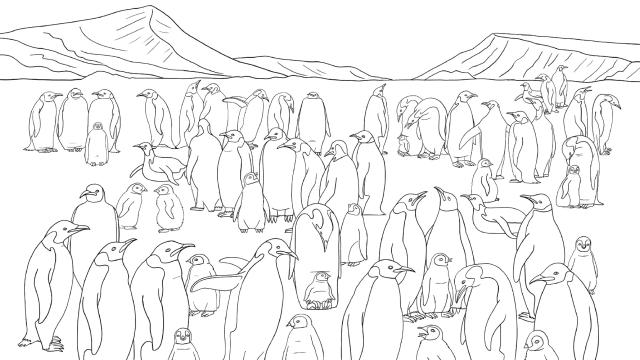 Antarctic colouring sheet
