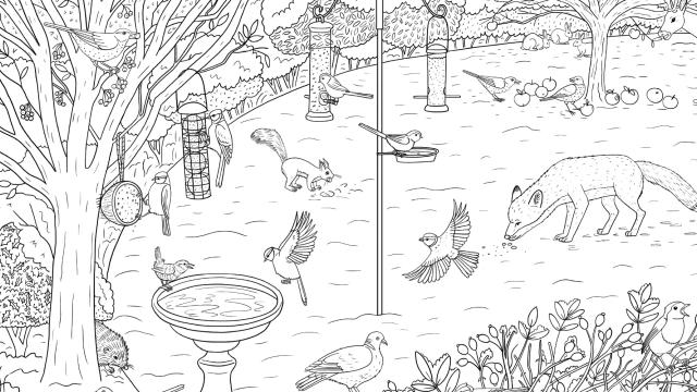Garden colouring sheet