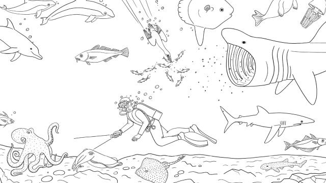 Underwater colouring sheet