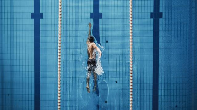 erial Top View Male Swimmer Swimming in Swimming Pool. Professional Athlete Training for the Championship, using Front Crawl, Freestyle Technique. Top View Shot