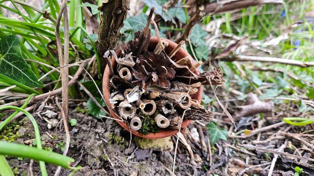 Go Wild Bug Hotel