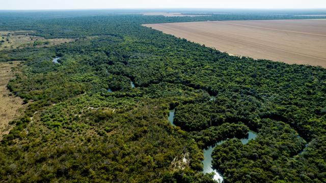 Legal Amazon on Mato Grosso State, Center-West Region of Brazil.