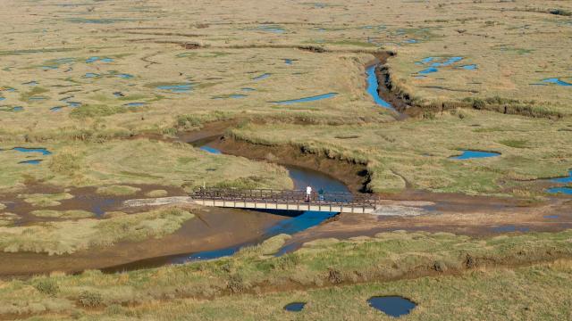 Members of the public use the newly installed bridge at Stiffkey Marshes. Stiffkey, North Norfolk, UK.