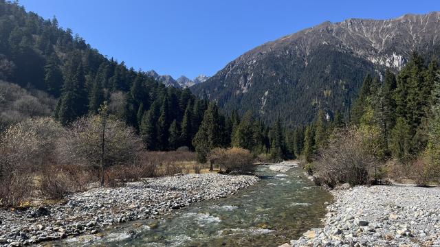 Wanlang NNR landscape, showing river, forest (home to pandas), high mountain peaks (home to snow leopards)