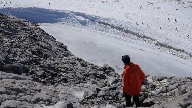 Woman dressed in warm clothes in an icy landscape