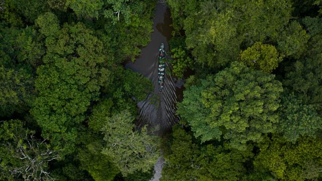 Aerial shot of boat travelling through del Nare Lagoon, located in Guaviare, Colombia.