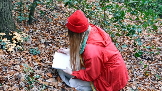Artist Harriet Gardiner crouching in forest drawing funghi