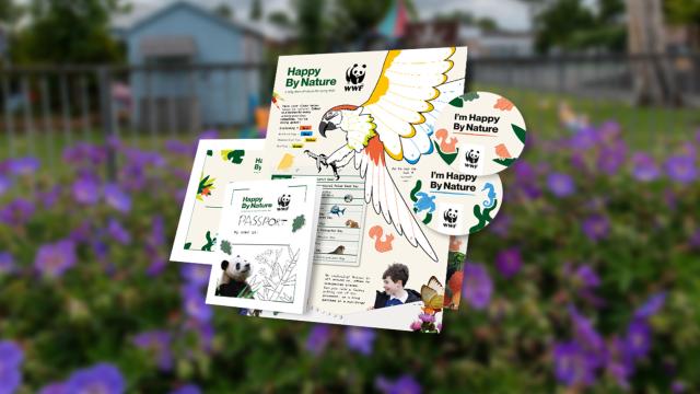 Schools pack promo banner