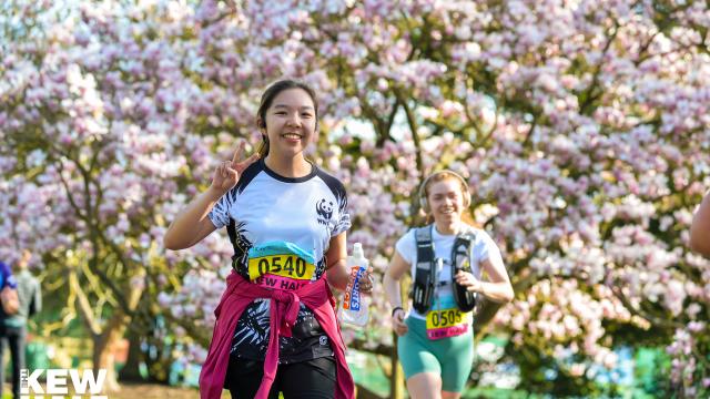 Runner in Kew Gardens with tree blossoms