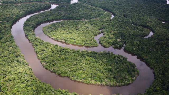 Aerial shot of a winding river, Amazon rainforest, Loreto region, Peru.