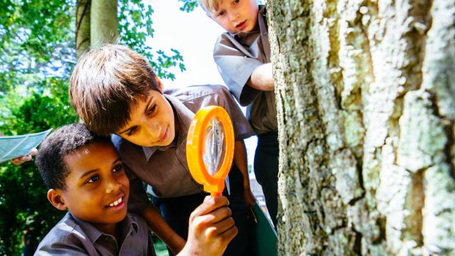 Kids exploring biodiversity at school