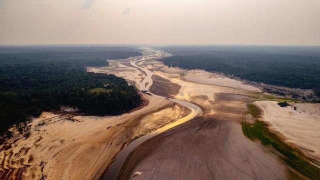 Negro river drought Amazon