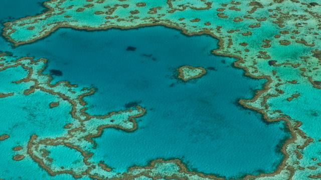 Aerial view of Hardy Reef, home to the heart reef, Great Barrier Reef, Australia