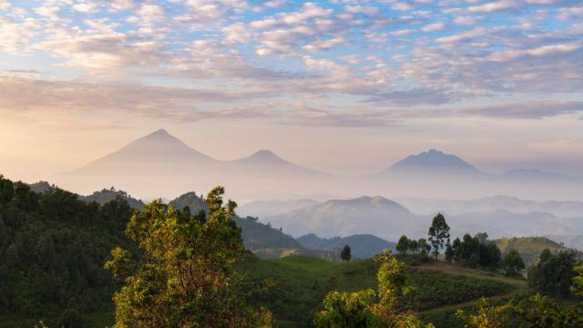 At sunrise, the volcanic peaks of Muhabura, Gahinga, and Sabyinyo rise through the mist