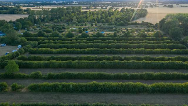 Aerial views of Wakelyns Farm, Fressingfield, Suffolk. It is a 23-acre organic farm on one of the most long established and most diverse agroforestry sites
