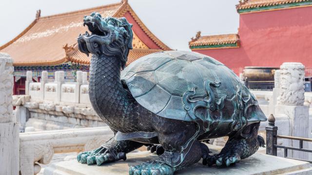 Dragon Turtle – China