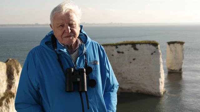 Sir David in Dorset in at Old Harry's rock for Wild Isles 
