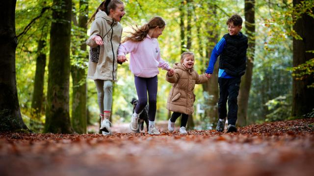 Children enjoying a woodland walk at Alice Holt Forest, Hampshire.  © Paul Rogers