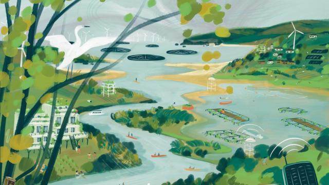 Pembrokeshire Illustration © Jasmine Hortop