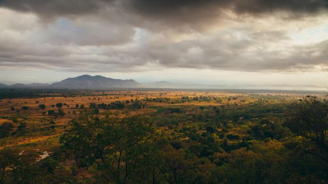 Sunrise over Selous Game Reserve. Selous, Tanzania.