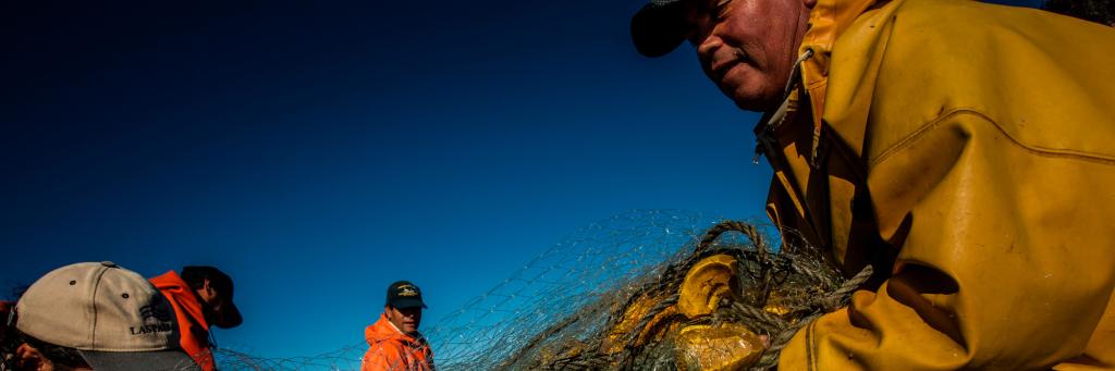 Crew on a fishing boat