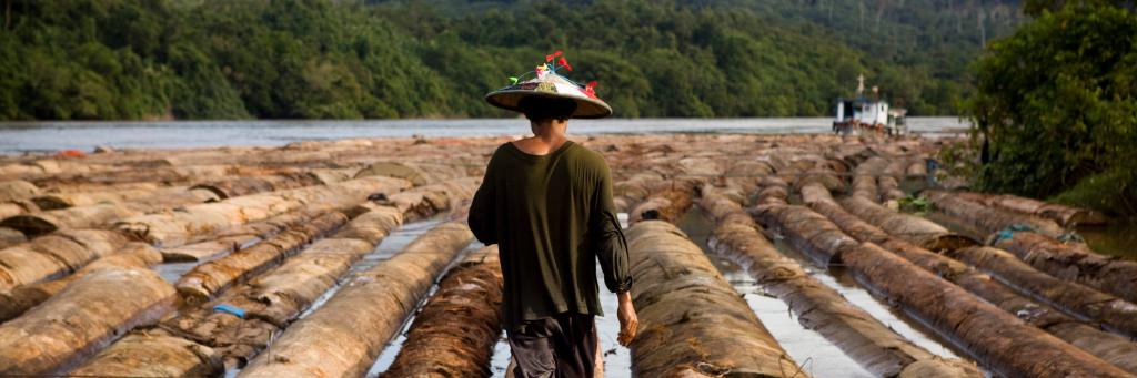 PT Ratah Timber, base camp for 97,690 Ha of concession. Logs are being rafted to be sent to a plywood processing plant, East Kalimantan, Borneo © WWF  Simon Rawles
