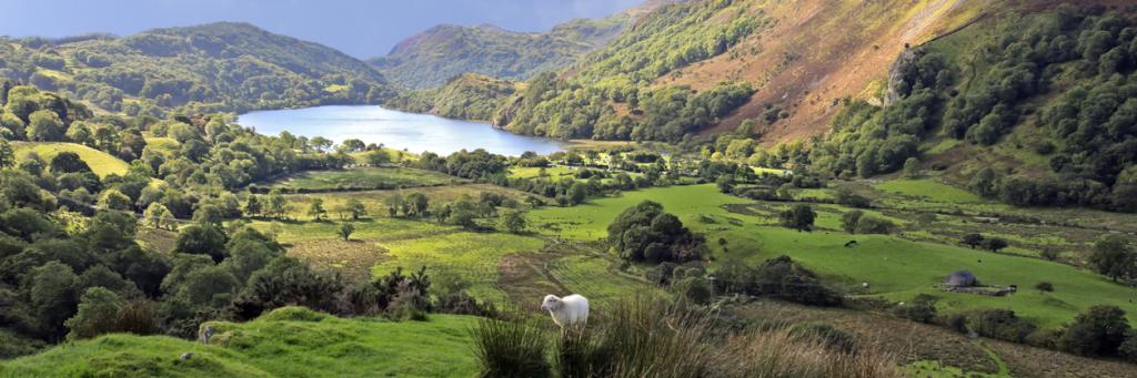Llyn Gwynant, Snowdonia National Park, Wales