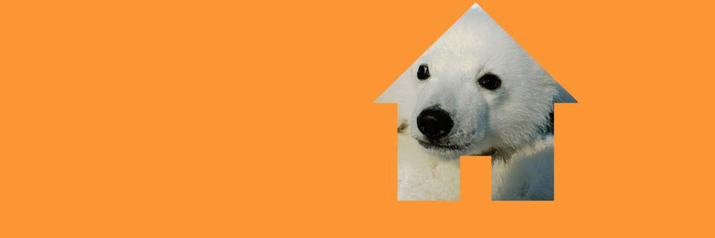 Campaign with WWF urge UK Government act on climate change