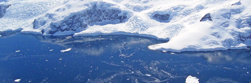 Flying over Gentoo penguin colonies, Neko Harbour, Antarctica