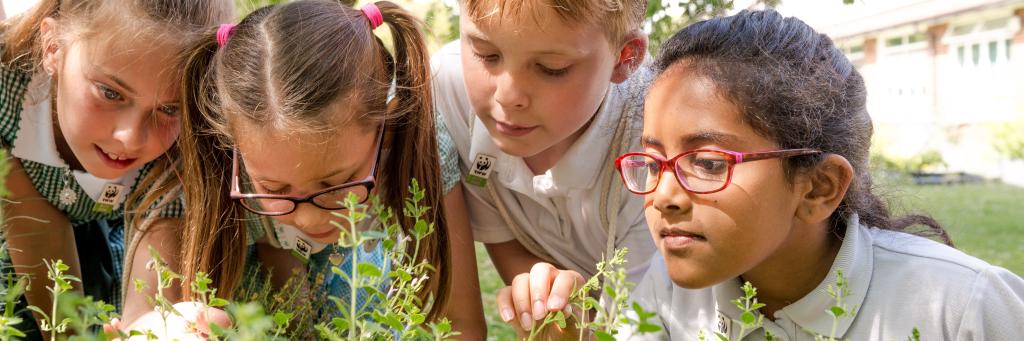 Tes and Warren Road Primary, Green Ambassador School of the year 2017 © Richard Stonehouse / WWF-UK