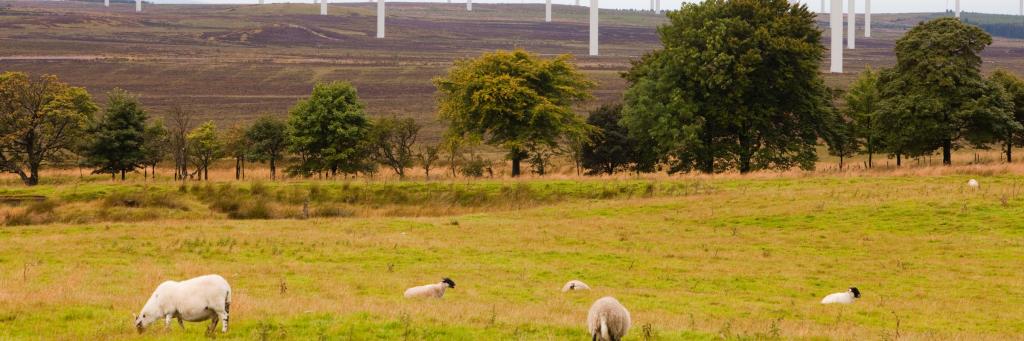 Black Law windfarm near Carluke in Scotland, UK.