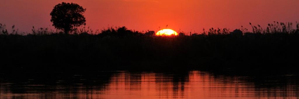 Sunset, Wild Dogs Symposium Mahangu Safari Lodge