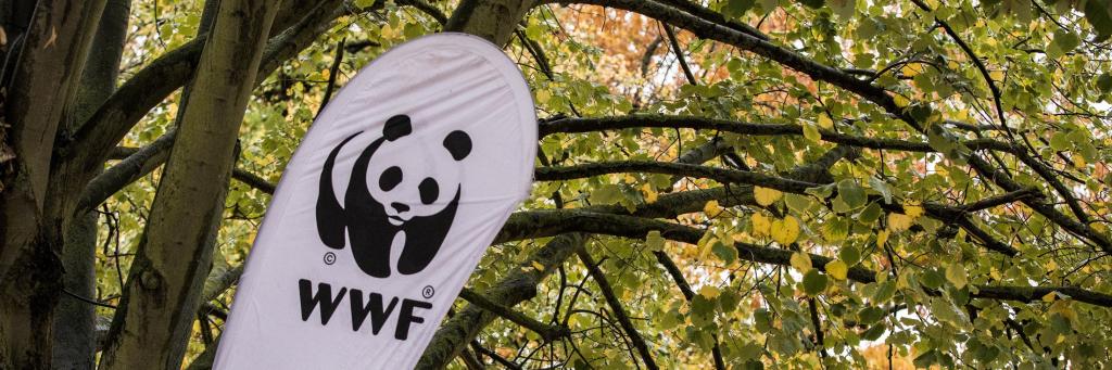 WWF Flag