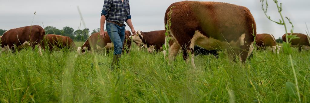 Farmer in field