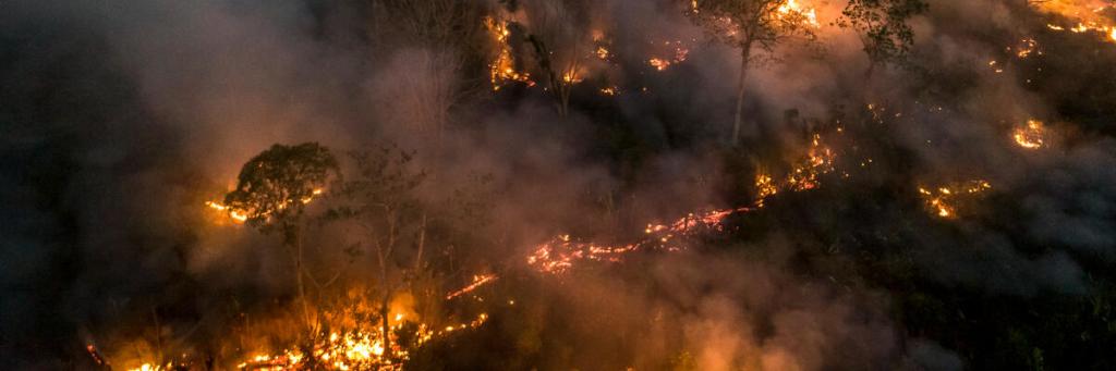 Amazon Rainforest deforestation and fire