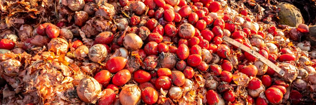 Tomato's in skip