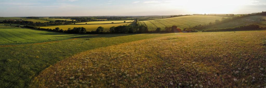 © Joseph Gray / WWF UK.jpg