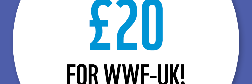 WWF The Big Winter Wander - £20 Raised Badge