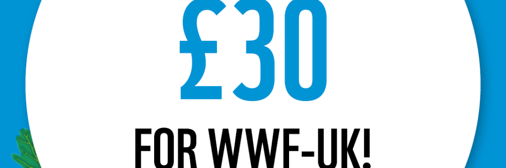 WWF The Big Winter Wander - £30 Raised Badge