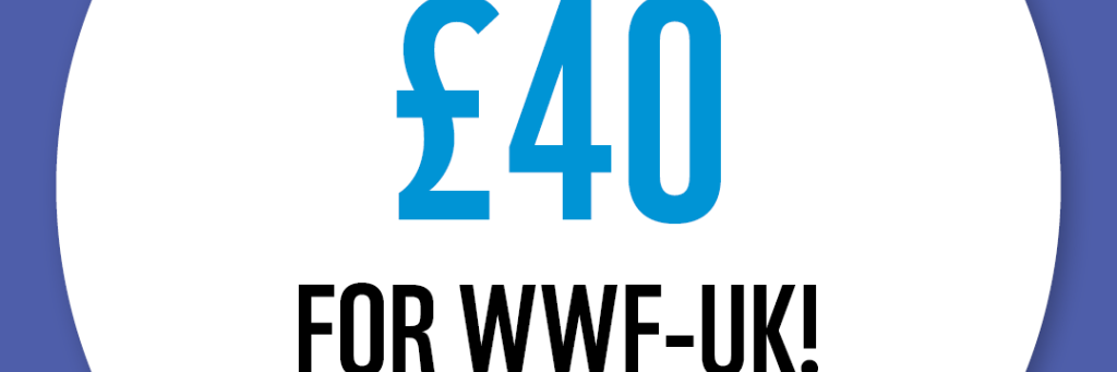 WWF The Big Winter Wander - £40 Raised Badge