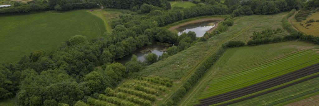 Riverford Farm in Devon