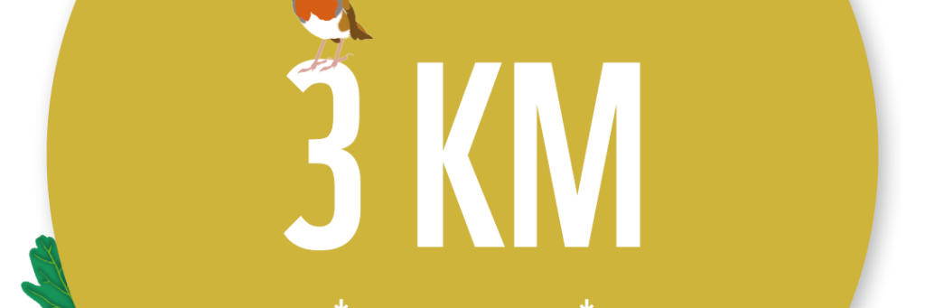 BWW 3KM tracker badge