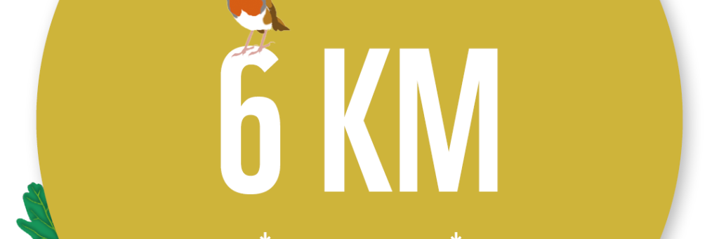 BWW 6KM tracker badge