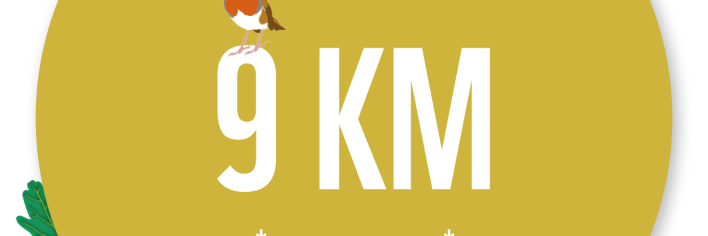 BWW 9KM tracker badge