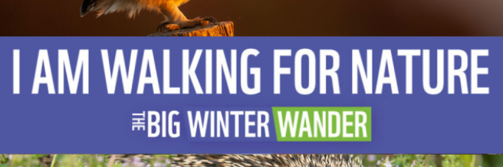 Sponsor Me Poster 1 - UK wildlife