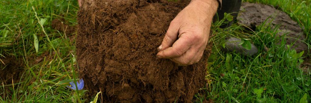 Regenerative farmer Hywel Morgan on his farm in Wales 