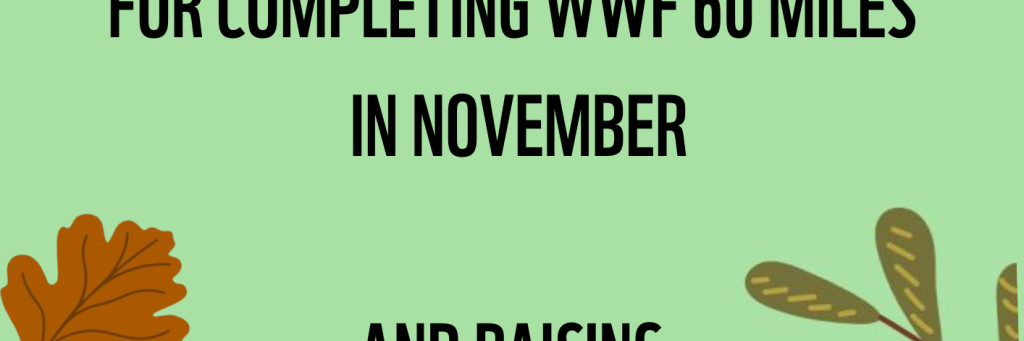 Congratulations for completing 60 Miles in November blank certificate